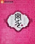 《宫斗》小说封面