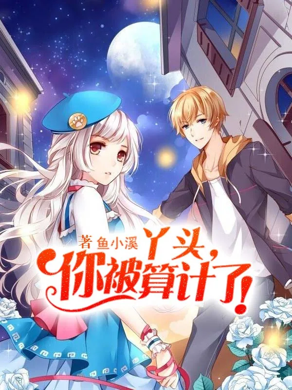 《丫头，你被算计了！》小说封面