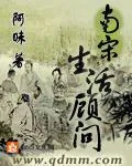 《南宋生活顾问》小说封面