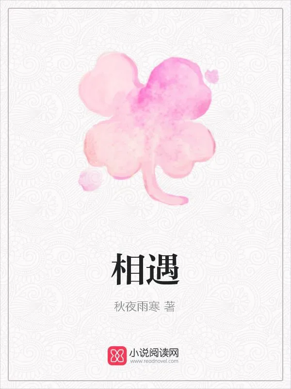 《相遇》小说封面