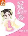 《冠盖路》小说封面