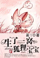 《生了一窝狐狸宝宝》小说封面