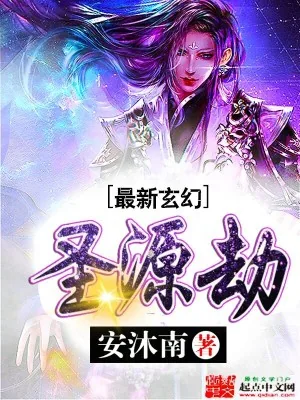 《圣源劫》小说封面