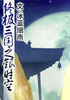 《终极三国之银时空》小说封面
