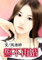 《誓不再婚》小说封面