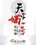 《天字嫡一号》小说封面