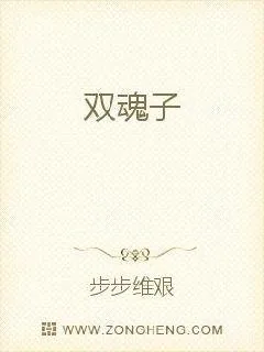 《双魂子》小说封面