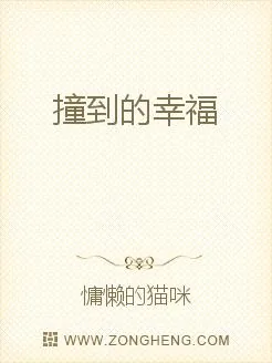 《撞到的幸福》小说封面