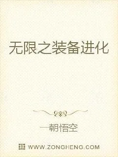 《无限之装备进化》小说封面
