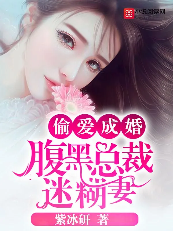 《偷爱成婚:腹黑总裁迷糊妻》小说封面