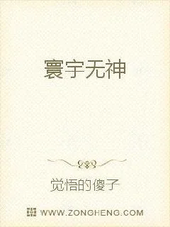 《寰宇无神》小说封面