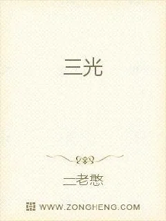 《三光》小说封面