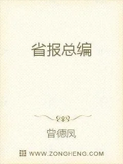 《省报总编》小说封面