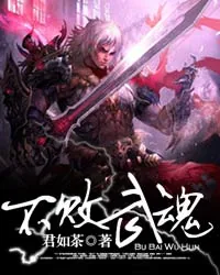 《不败武魂》小说封面