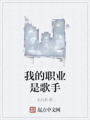 《我的职业是歌手》小说封面
