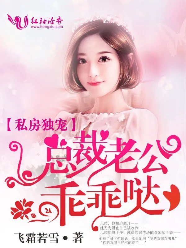 《私房独宠,总裁老公乖乖哒》小说封面