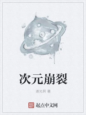 《次元崩裂》小说封面