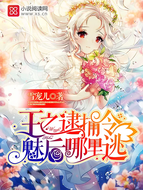 《王之逮捕令:魅后哪里逃》小说封面