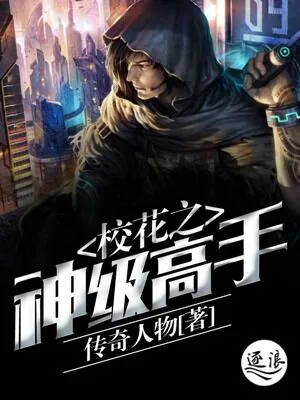 《神级高手都市行》小说封面