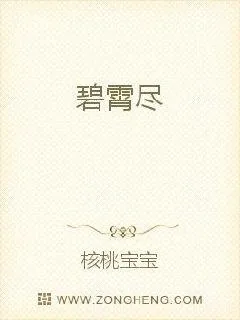 《碧霄尽》小说封面