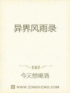 《异界风雨录》小说封面