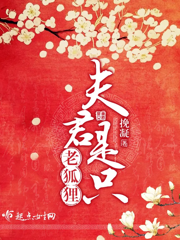 《夫君是只老狐狸》小说封面