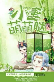 《妃常调皮:小妻萌萌哒》小说封面