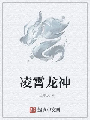 《凌霄龙神》小说封面