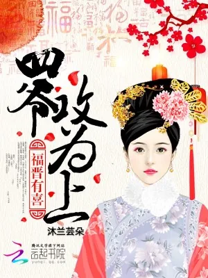 《福晋有喜:四爷,攻为上!》小说封面