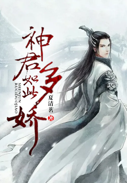 《神君如此多娇》小说封面