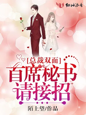 《总裁双面：首席秘书，请接招》小说封面