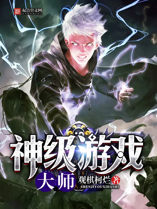 《神级游戏大师》小说封面