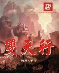 《双天行》小说封面