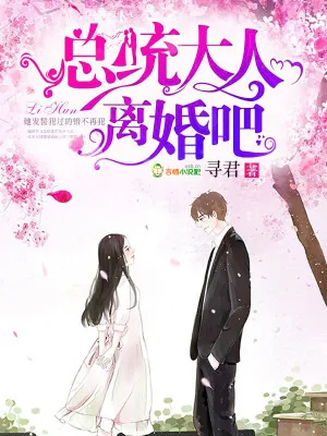《总统大人,离婚吧!》小说封面