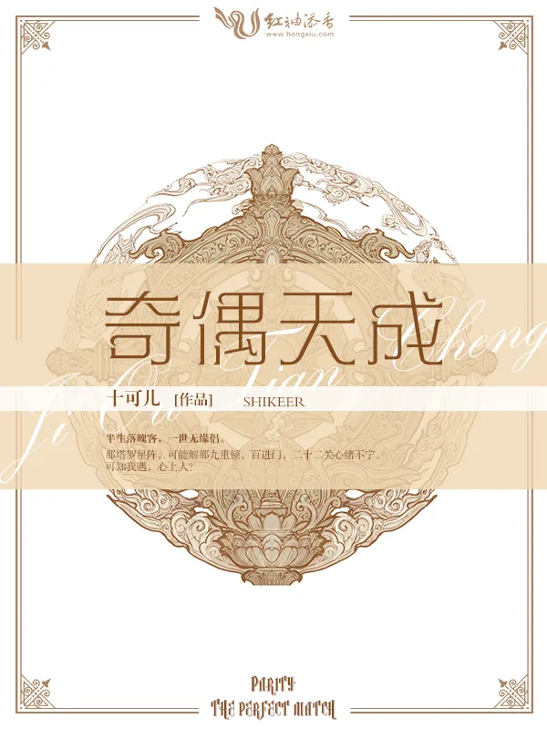 《奇偶天成》小说封面