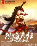 《烈焰天狂：逆世大小姐》小说封面