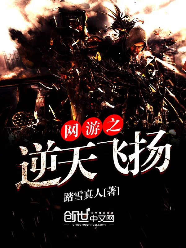 《网游之逆天飞扬》小说封面