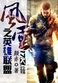 《风云之英雄联盟》小说封面
