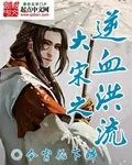 《大宋之逆血洪流》小说封面