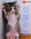《位面劫匪》小说封面