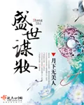 《盛世谋妆》小说封面