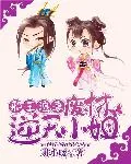 《步步凤华》小说封面