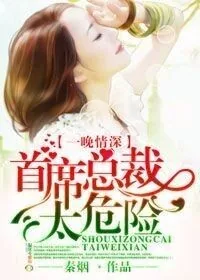 《一晚情深,首席总裁太危险》小说封面