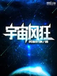 《宇宙风狂》小说封面