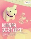 《向晴的美好重生》小说封面