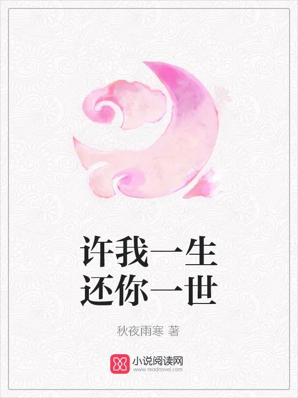 《许我一生还你一世》小说封面
