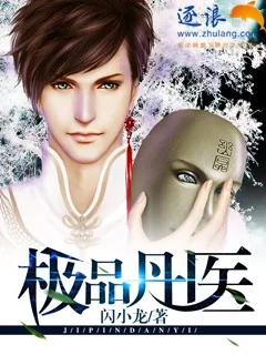 《极品丹医》小说封面