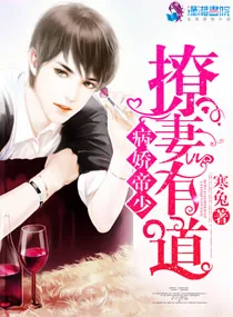 《病娇帝少撩妻有道》小说封面