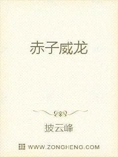 《赤子威龙》小说封面