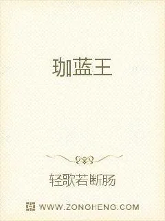《珈蓝王》小说封面